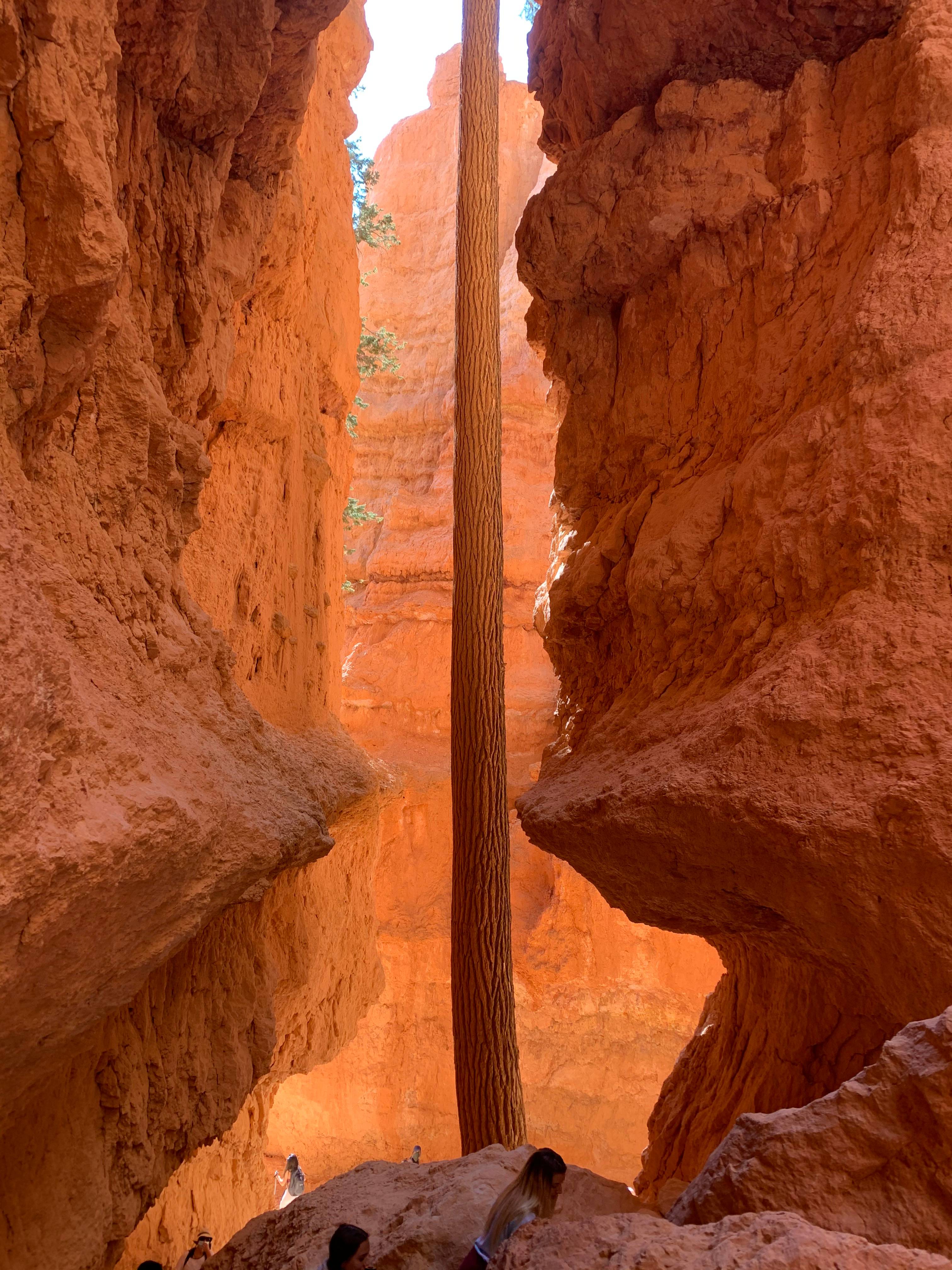 Bryce Canyon NP